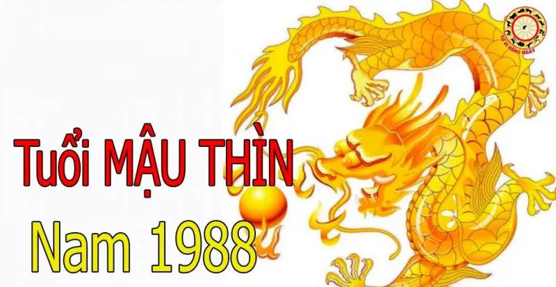 tinh cach tuoi mau thin 1988